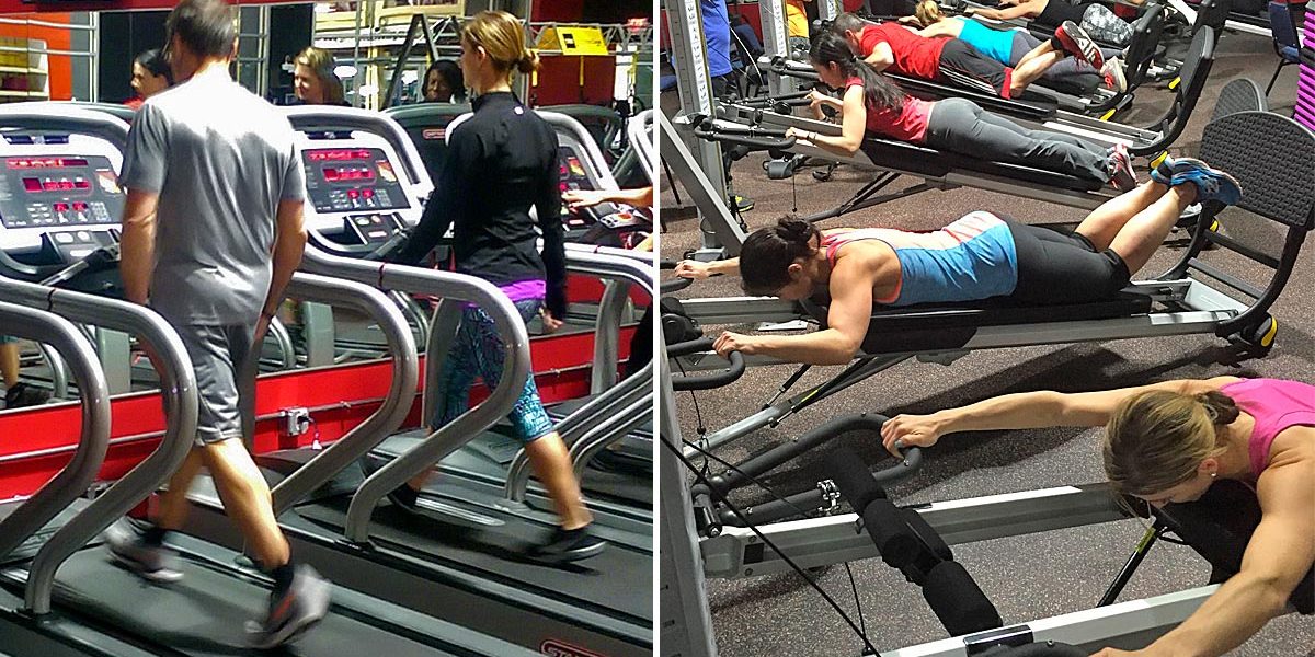 image of Target Zone members working out using Treadmills and Total Gyms